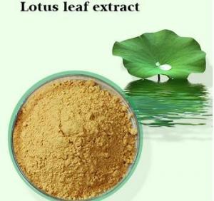 Quality Nuciferine,CAS NO.: 475-83-2,98%,lotus leaf extract wholesale