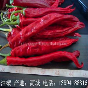 Quality Long Dry Erjingtiao Pepper Chilis Delicious Taste Nutritious Health Benefits Stemless wholesale