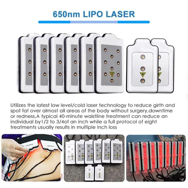 360 Cryo Vacuum Rf Lipo Laser 6 In 1 Fat Freezing Weight Loss Machine professional