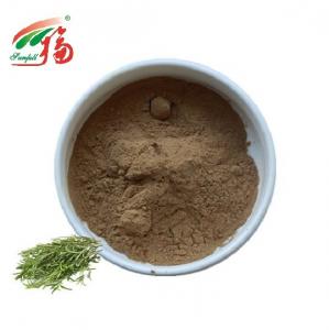Quality Antioxidant Rosemary Extract Powder Rosmarinic Acid HPLC For Food Additive wholesale