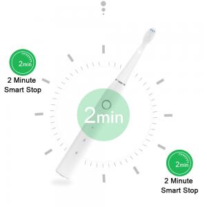 Quality Ultralight 3.7V Oral Care Sonic Toothbrush , IPX7 Portable Electric Toothbrush wholesale