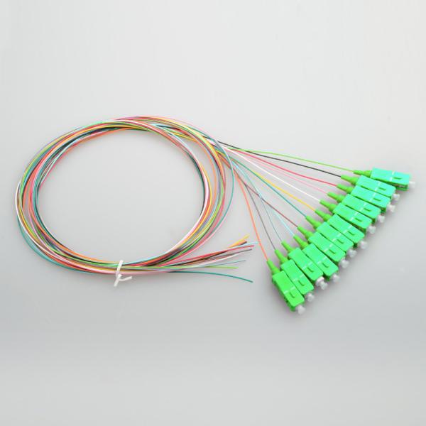 Fan Out 12 Cores SC/APC Ribbon Patch Cord