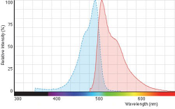 Sperm Reactive Oxygen Species DHE Staining Kit For ROS Flow Cytometry