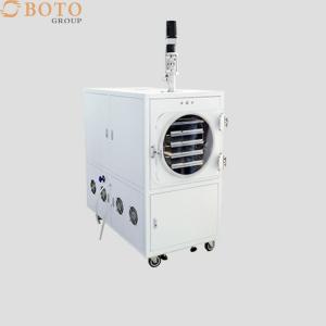 China Home Lyophilization Homemade Food Freeze Dryer Household Vacuum Pump Freeze Dryer on sale