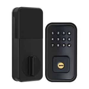 Quality Biometric Smart Security Magnetic Electric Lock Fingerprint Smart Door Lock wholesale