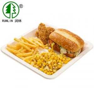 Quality Biodegradable Plant Fiber Molded Pulp Trays With 3 Compartments 10in wholesale