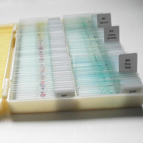 Prepared Higher Education 100pcs Microscope Slides Set For Students