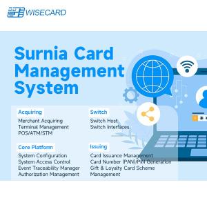 China PCI PA DSS Compliant Card Management System Web Based GUI with Encryption Access Control on sale