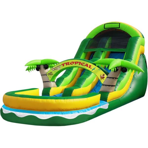 PVC Tarpaulin Kids Inflatable Water Slide Double Lanes Design Easy Maintain
