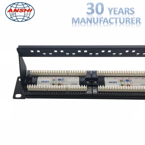 110 Idc Cat6a Utp Patch Panel 19 Inch Unshield UTP With Cable Manager Black Color