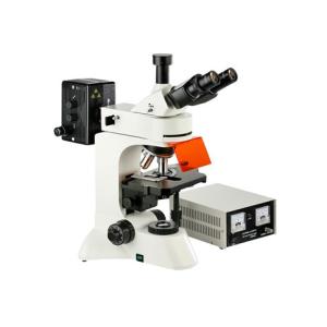 Quality Camera Infinity Epi Led Fluorescent Microscope WF10X Eyepiece Genetics Research wholesale