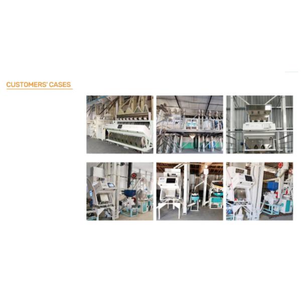 3 Chutes Agriculture Wheat RGB Color Sorter Easy Installation