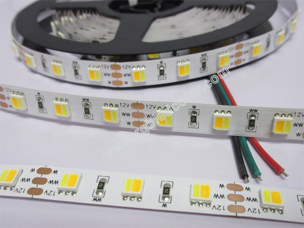 warm white and white in one 5050 smd cct dimmable led strip