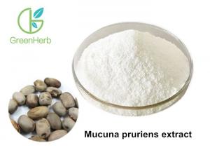 Quality Good Performance Mucuna Pruriens Extract Powder 98% L- Dopa Non - Irradiated wholesale