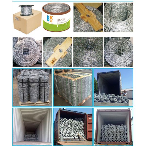 Customizable Twisted Barbed Wire , Firm Frame Steel Barbed Wire anti corrosion
