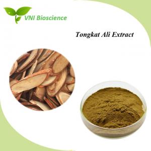 Quality Natural Tongkat Ali Extract Brown Powder Eurycoma Longifolia Extract wholesale