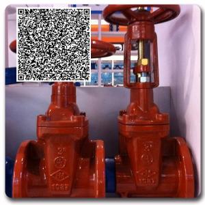 Quality 1/4-3/4 Handle Forged Bronze NPT Ball Valve with plug wholesale