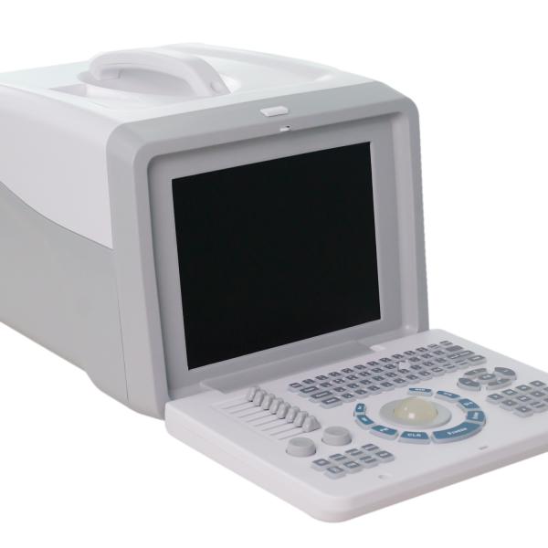 Cheap Durable 2D Echo Portable USG Machine For Physiotherapist Convex Linear Probe for sale