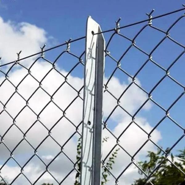Cheap 8ft Height Galvanized Chain Link Fence Zoo Wire Mesh For All Animals for sale