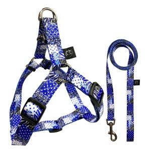 China Nylon Fashion Dog Harness Leash Collar Set Custom Pattern Line Style on sale