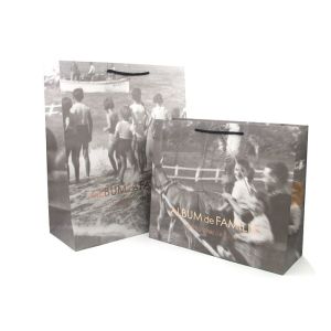 Quality Fancy Personalised Paper Bags / Printed Paper Carrier Bags Offset Printing wholesale