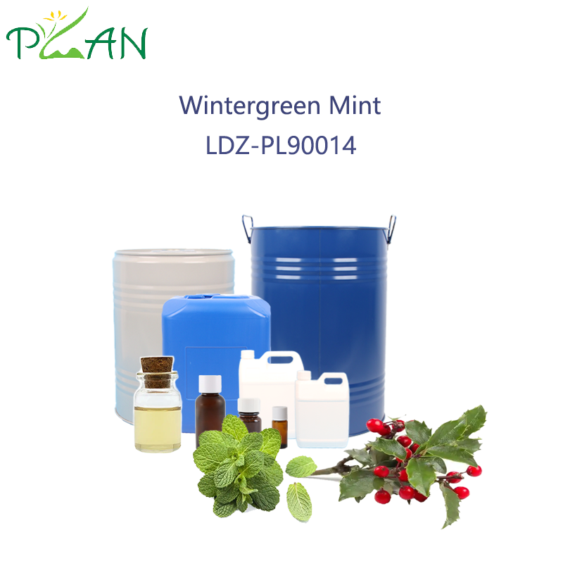 Wintergreen Mint Fragrance For Toothpaste 2.5Litre / Bottle