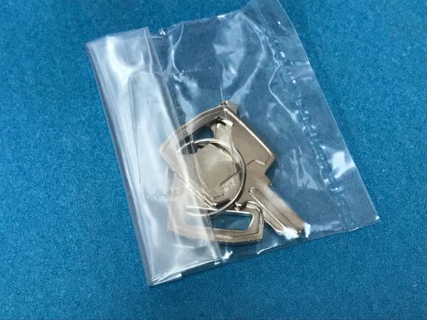 Cheap 316N5001 Fuji Frontier Minilab Parts Door Key for sale