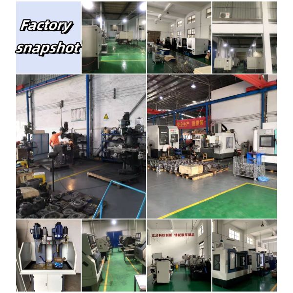 Precision Fit Durability Performance Rexroth A2F Series Hydraulic Pump Parts for Axial Piston Pumps