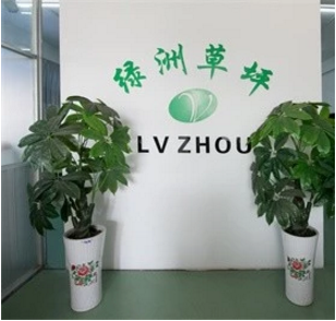 25mm Artificial Lawn For Balcony Wall Panels Decoration ISO 9001 Awarded