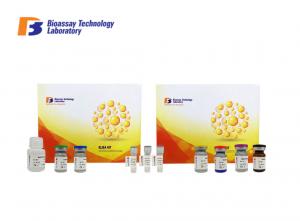 China Mouse CCP Sandwich ELISA Assay Kit Anti Cyclic Citrullinated Peptide Antibody on sale