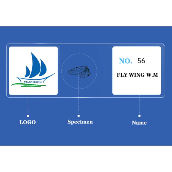 Prepared Higher Education 100pcs Microscope Slides Set For Students