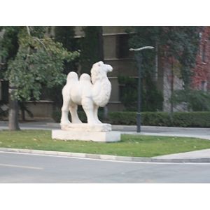 Beijing Sinovo International & Sinovo Heavy Industry Co.Ltd.