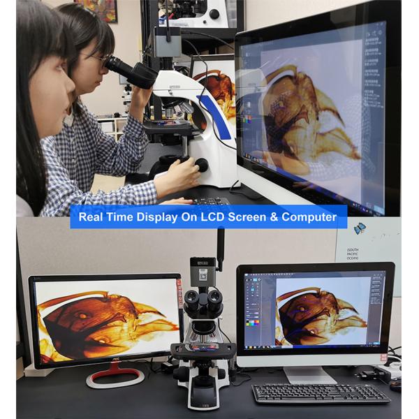 infinity Plan Achromatice Compound Optical Microscope 3W LED A12.1502 Backward Quadruple Nosepiece
