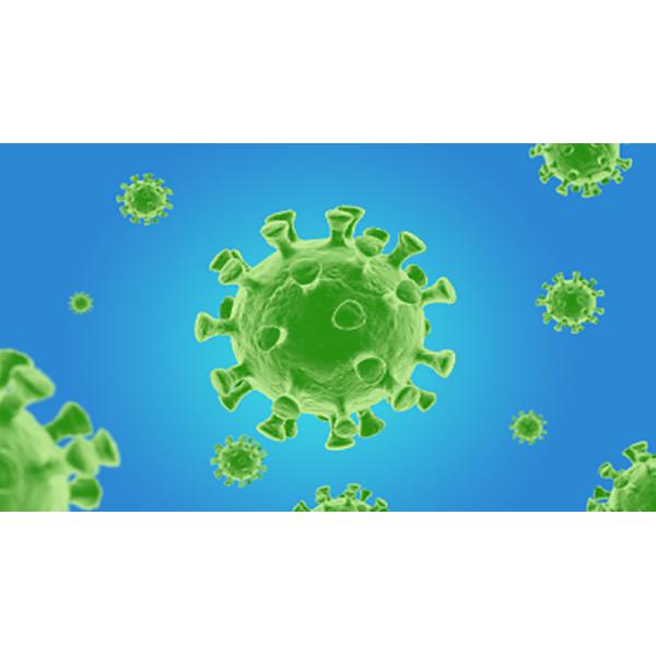 TUV 98.67% Credibility Coronavirus Rapid Test Cassette