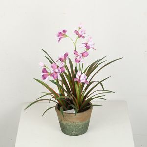 25 CM 48 CM Artificial Chlorophytum Comosum With Flower