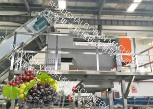 Quality 20 T/H Stable Grape Juice Processing Line Extractor Vacuum Pressing System wholesale