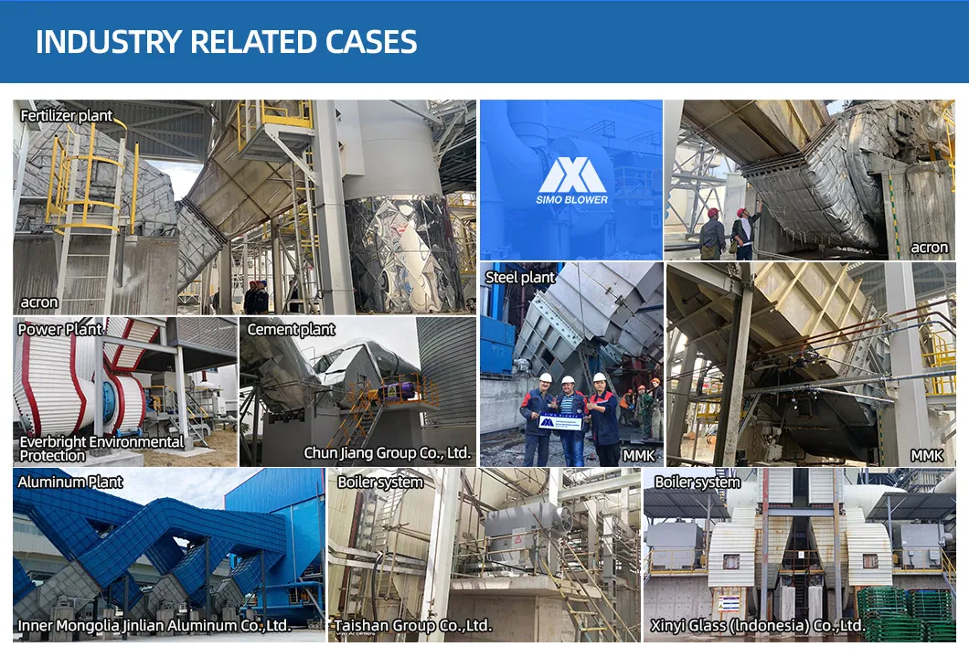 Customized Kiln Silver Powder High Temperature Wear-Resistant Centrifugal Fan Blower