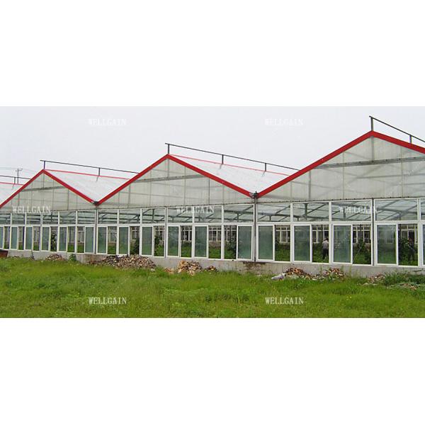 UV Resistant Twin Wall Polycarbonate Greenhouse Modern Farms Greenhouse
