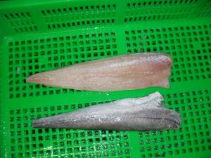 China IQF Double Frozen hake fillets,2-8oz Latin name: Merluccius productus on sale