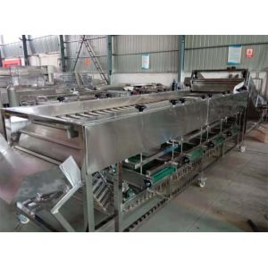 dates sorting machine, dates grading machine, dates grader, dates sorter