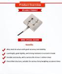 UBWP304 Series Electronic Scale for Tension and Compression Weighing in Small
