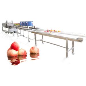 Quality Hot selling Factory Direct Fruit Processing Cleaning Machine by Huafood wholesale