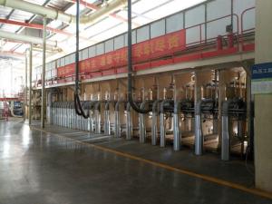 Efficient 4 Feets 8 Feets Continuous Dynamic Hot Press Line System
