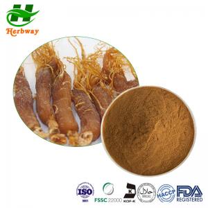 Quality Korean Red Ginseng Extract / Korean Red Ginseng Root Powder wholesale