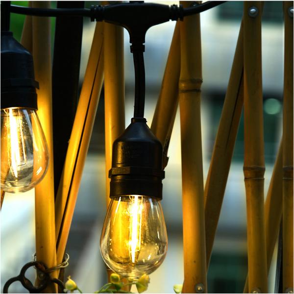 S14 1W LED String Bulb 3M Extension Cable 15PCS 2200K