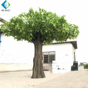 Quality Large Artificial Mango Tree , Artificial Palm Plants Customized Design wholesale