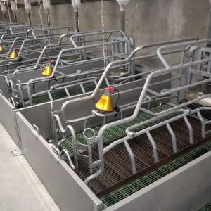 Quality Incubator Lamp Heating Sow Farrowing Crate With Drinking Bowl wholesale