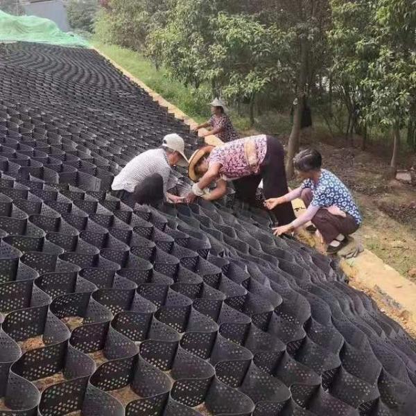 Plastic Grid Slope Protection Geocell for Road Erosion Control and Soil Stabilization