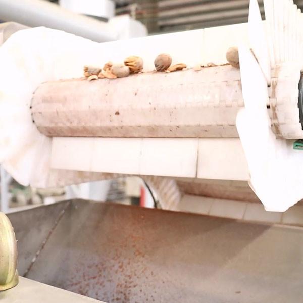 Cheap 220V CE Dry Cracking Pecan Shelling Machine Connect To IR Kernel Shell Separator for sale