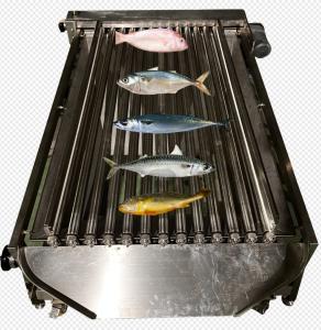 China High Quality PLC Control Fish Grading Line For Sorting Small Fish With Automatic on sale